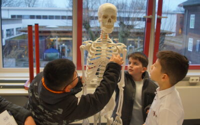 Das Gymnasium Antonianum öffnet seine Türen!